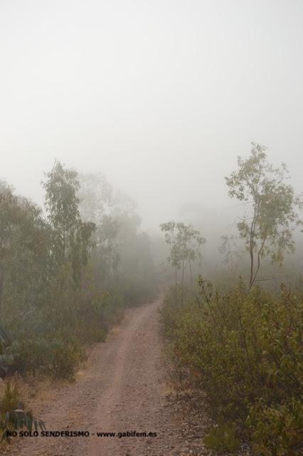 Ruta por Sierra Bermeja