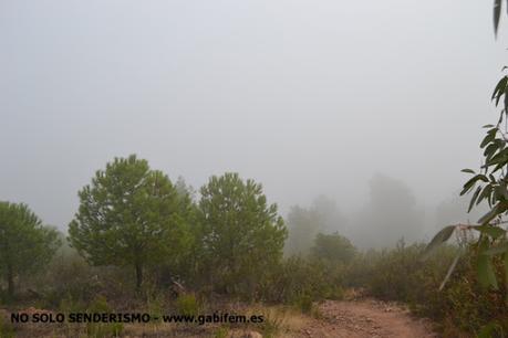 Ruta por Sierra Bermeja