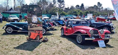 Auto insignia y aniversarios en Expo Auto Argentino 2024 Auto insignia y aniversarios en Expo Auto Argentino 2024
