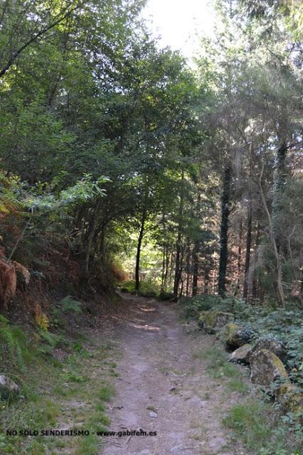 RIBEIRA SACRA. Segunda Parte