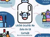 Leche Oculta: Solo Comida