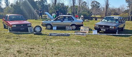 Domingo de sol y autos históricos en Expo Auto Argentino 2024 Domingo de sol y autos históricos en Expo Auto Argentino 2024