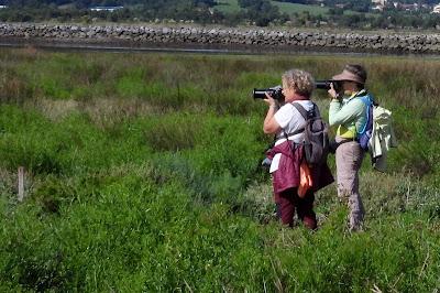 DESDE BRIVIESCA A LAREDO