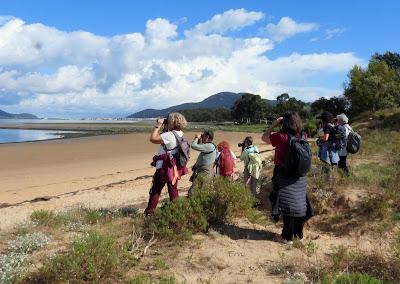 DESDE BRIVIESCA A LAREDO