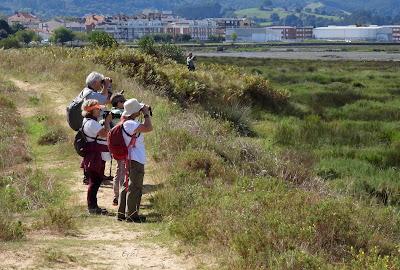 DESDE BRIVIESCA A LAREDO