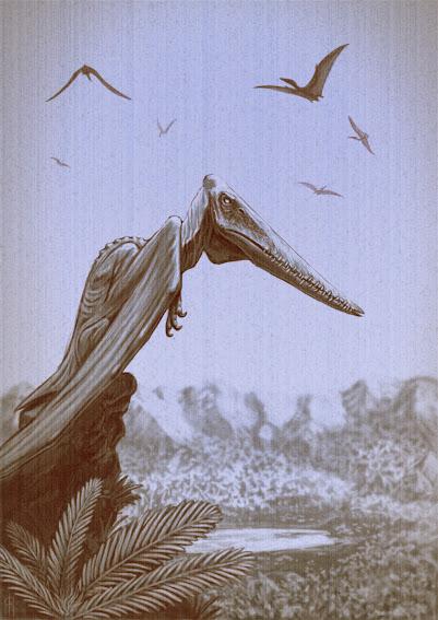 Unas cuantas ilustraciones pterosaurianas... (II)