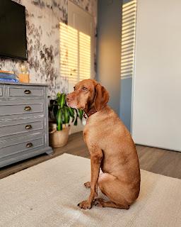 Habitación de huéspedes Color Azul