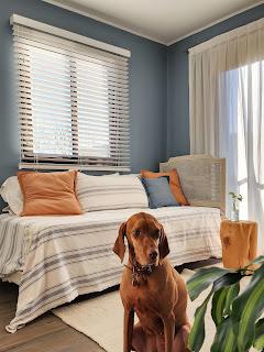 Habitación de huéspedes Color Azul