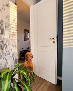 Habitación de huéspedes Color Azul