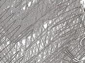 Celia, Diego Campillo Frutos (Agencia ISBN, mayo 2024)