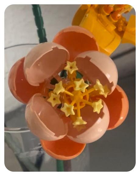 💐 Eternal Flowers 💐 🌸 Juego de Construcción 🌸