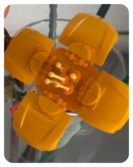 💐 Eternal Flowers 💐 🌸 Juego de Construcción 🌸