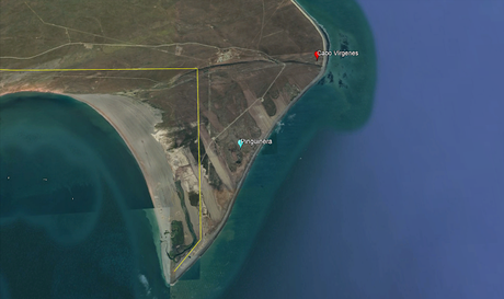 Pingüinera de Cabo Vírgenes