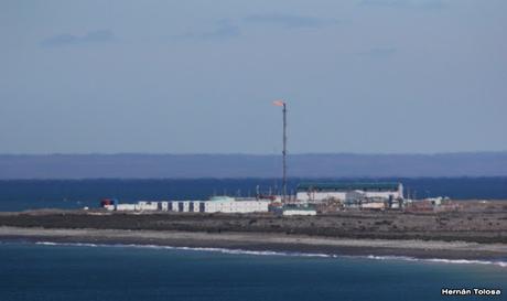 Pingüinera de Cabo Vírgenes