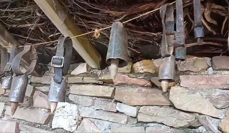 Los pastores alistanos