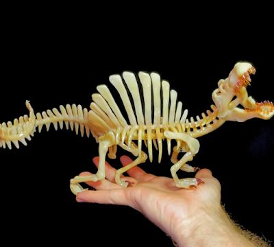 El Mesozoico de vidrio soplado de David White