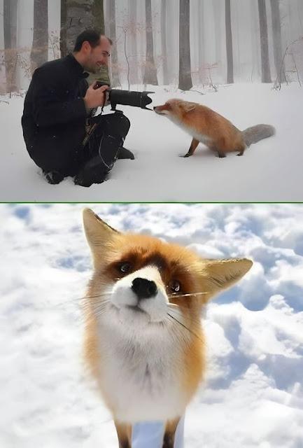 El PP de Feijóo frente al PSOE de Sánchez. El PP de Feijóo frente al PSOE de Sánchez.