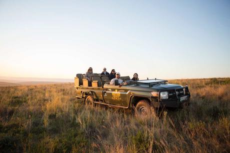 Los 5 mejores consejos para reservar tu safari africano Los 5 mejores consejos para reservar tu safari africano