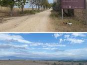 Entre aire, arbustos suelo