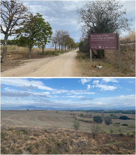 Entre el aire, los arbustos y el suelo