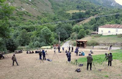 Osos pardos prismaticos