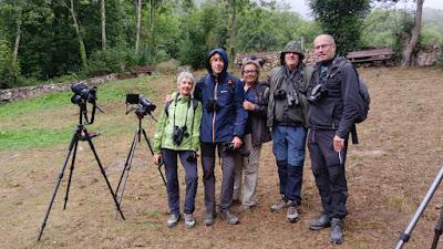 Osos pardos prismaticos