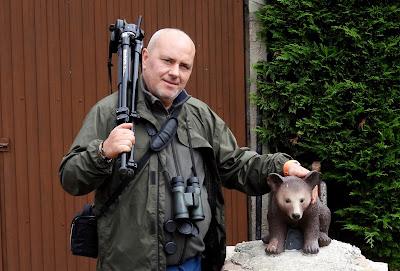 Osos pardos prismaticos