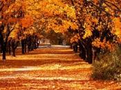 Cuando empieza otoño?