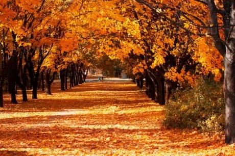 Cuando empieza otoño? Cuando empieza otoño?