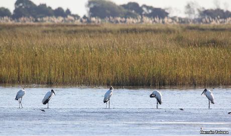 San Clemente del Tuyú (marzo 2024)