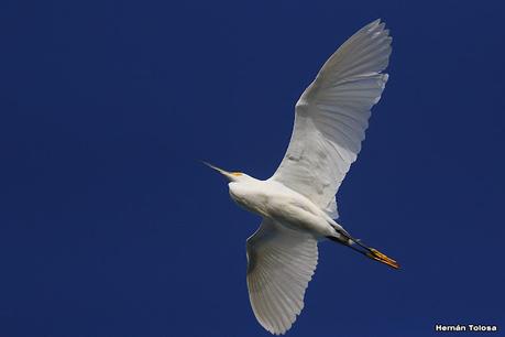 San Clemente del Tuyú (marzo 2024)
