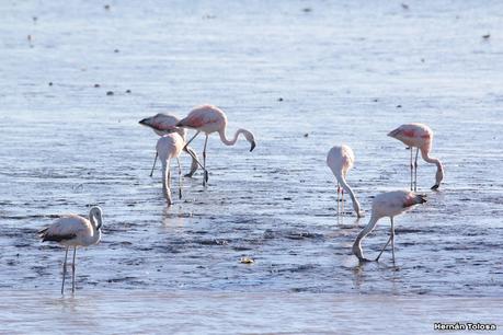 San Clemente del Tuyú (marzo 2024)