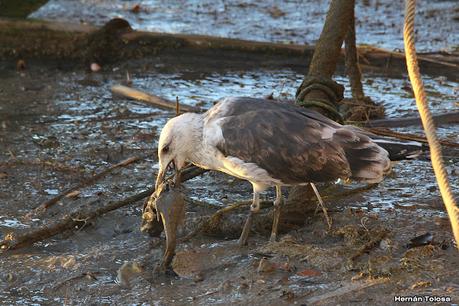San Clemente del Tuyú (marzo 2024)