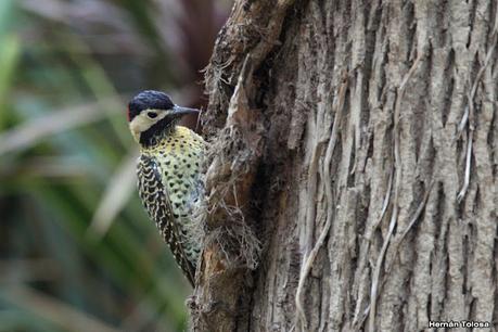 San Clemente del Tuyú (marzo 2024)