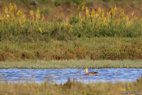 San Clemente del Tuyú (marzo 2024)