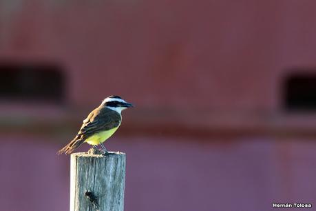 San Clemente del Tuyú (marzo 2024)