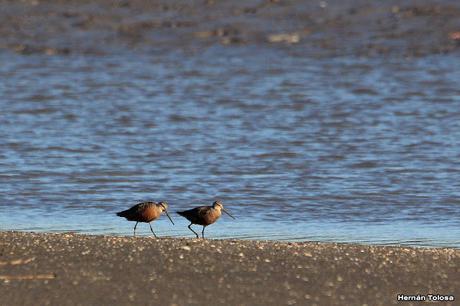 San Clemente del Tuyú (marzo 2024)