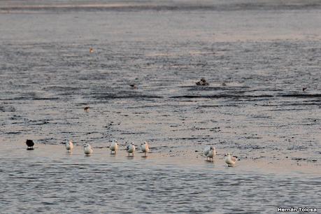 San Clemente del Tuyú (marzo 2024)