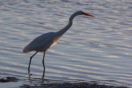 San Clemente del Tuyú (marzo 2024)