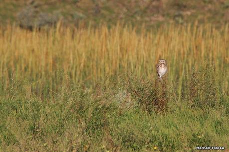 San Clemente del Tuyú (marzo 2024)