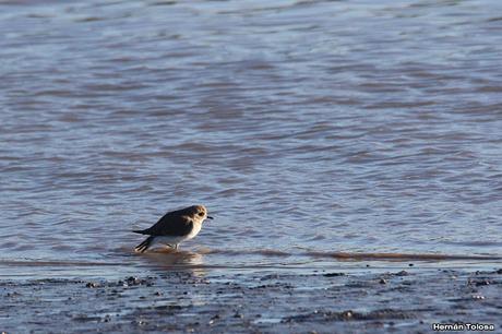 San Clemente del Tuyú (marzo 2024)