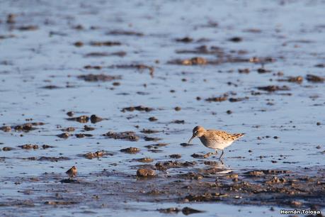 San Clemente del Tuyú (marzo 2024)
