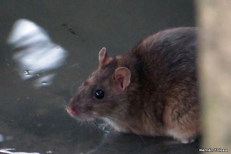 San Clemente del Tuyú (marzo 2024)