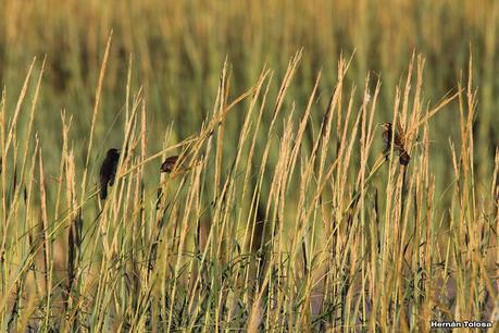 San Clemente del Tuyú (marzo 2024)