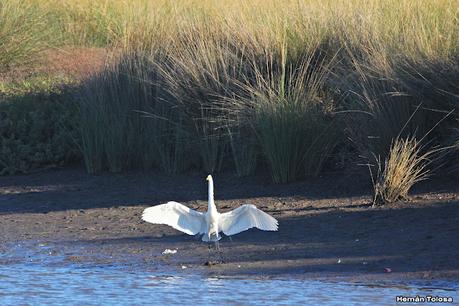 San Clemente del Tuyú (marzo 2024)