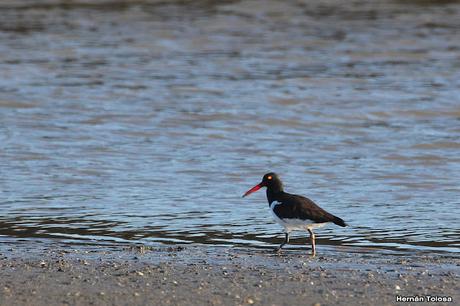 San Clemente del Tuyú (marzo 2024)