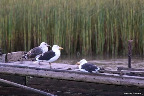 San Clemente del Tuyú (marzo 2024)