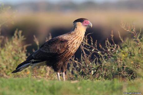 San Clemente del Tuyú (marzo 2024)