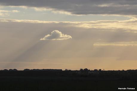 San Clemente del Tuyú (marzo 2024)