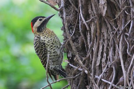 San Clemente del Tuyú (marzo 2024)